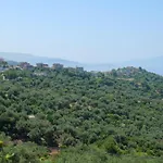 Panzió Vila Panorama *