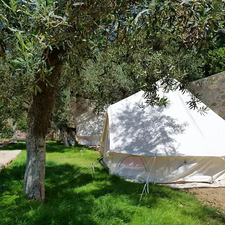 Vila Panorama فندق مبيت وإفطار Piqeras