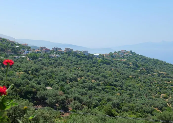 Bed & Breakfast Vila Panorama *