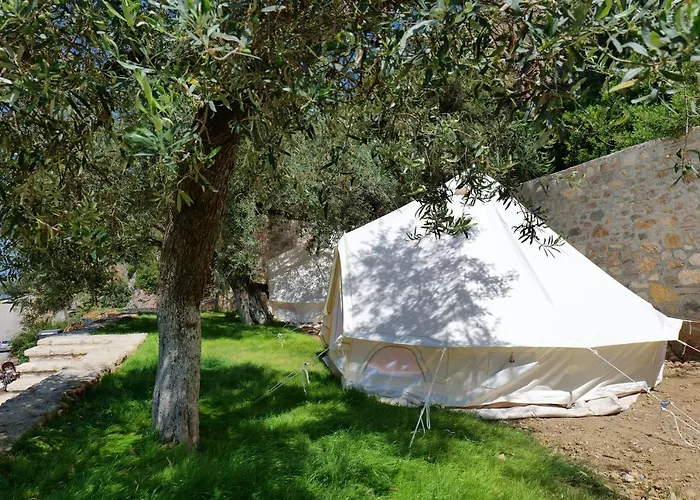 Vila Panorama Bed & Breakfast Piqeras